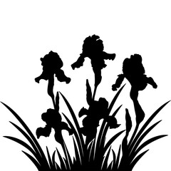 Iris flower black silhouettes, botanical vector illustration