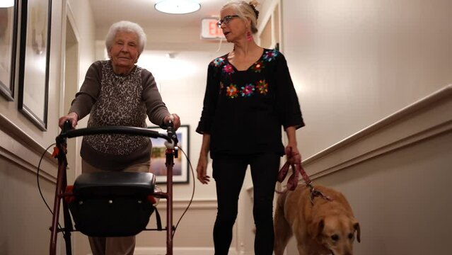 Senior elderly old mother using a walker and daughter in law with pet dog on leash walking to elevator in senior living home during a family visit.