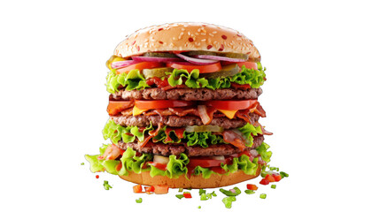 Burger and sandwich. Tasty and well-assembled burger.