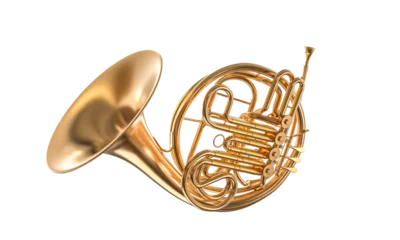 Fotobehang Golden french horn on white background © tiero