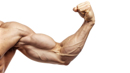 Close-up of a muscular male torso flexing his bicep and fist, embodying strength and fitness