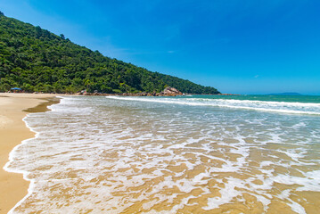 onda branca na  Praia Grande Caravelas Governador Celso Ramos Santa Catarina Brasil