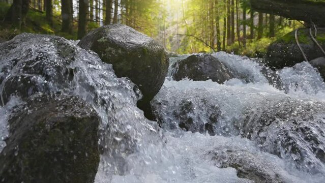 Gimbal slow motion shot of seething water in mountain river between stones. Full-flowing river in green forest against the backdrop of sunset. Alpine stream with clear water