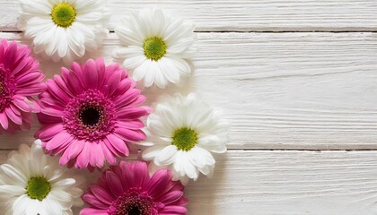 pink and white flowers on white wooden background