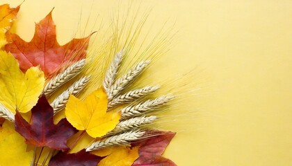 beautiful autumn leaves with wheat ears on color background