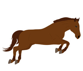 Beautiful brown jumping horse, vector illustration