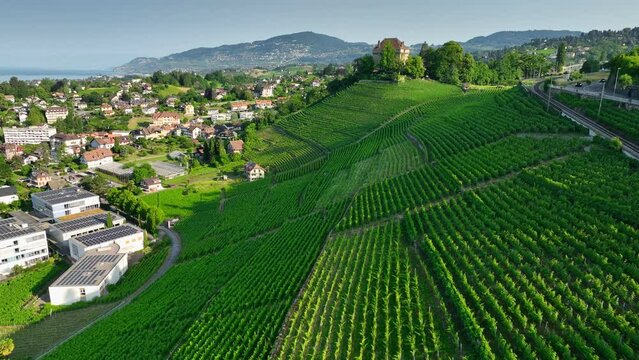 Lavaux wine region with many wineries and vineyards. Aerial view of vineyards on shores Geneva Lake in Switzerland 