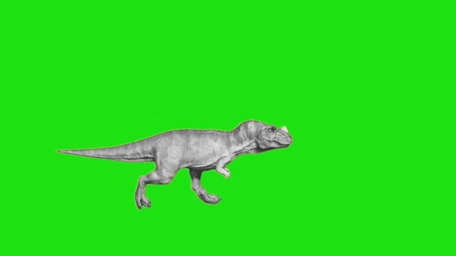 Dinosaur 3D Animated Green screen video