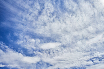Obraz premium A tranquil scene of cirrus and cumulus clouds spread across the vast blue sky, depicting serene weather and natural beauty.
