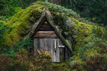 Fototapeta na wymiar Old overgrown building in a green forest in Sweden