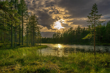 Summer view in the evening from a small forest lake in Sweden