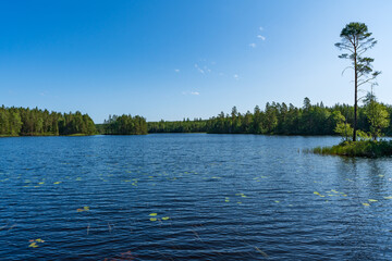 View across a small lake in Sweden