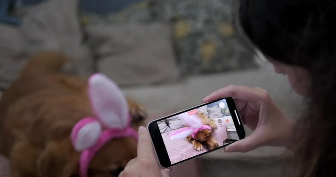 A young woman holds a smartphone and takes a video of her dog, which is lying on the sofa wearing a headband with rabbit ears. Taking a selfie with the Easter dog.