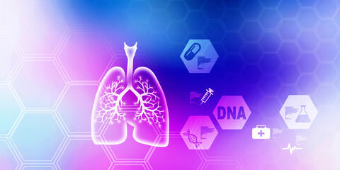 Healthy Human Lungs 2d illustration
