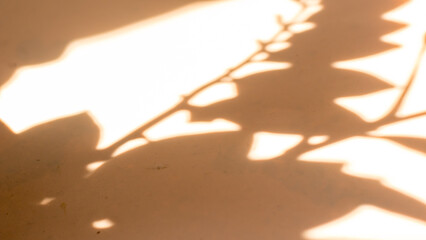 Shadow of leaves on a beige background, Wall light with shadows, shadow on beige wall background texture.