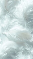 Obraz premium Soft white feathers layered gently room