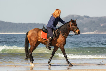 horse and rider on the beach