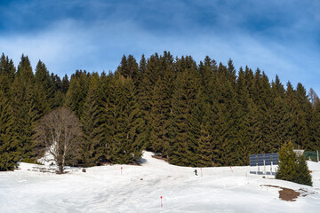 A tranquil winter scene with vibrant green pine trees, a lone skier and solar panels symbolizing renewable energy and the harmony of nature. Ideal for sustainability concepts
