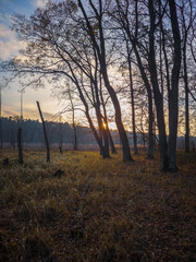 Fototapeta na wymiar Sun setting over a bog in the forest in autumn. 
