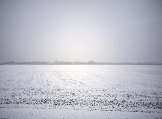 Agricultural fields covered with snow during cloudy winter day.