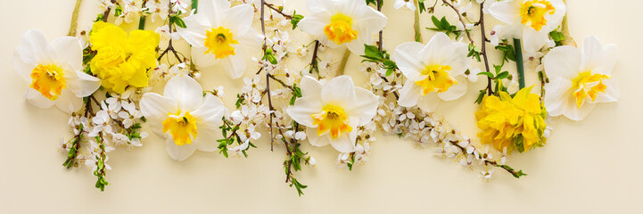Festive banner with spring flowers, white daffodils and flowering cherry branches on a light yellow pastel background