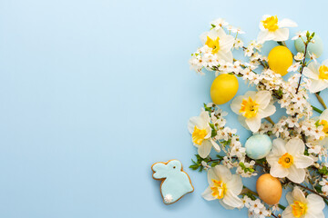 Festive background with spring flowers and naturally colored eggs and Easter bunnies, white daffodils and cherry blossom branches on a blue pastel background
