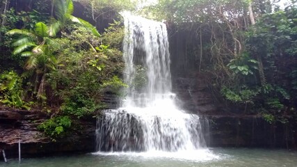 waterfall in the forest