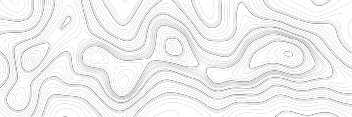 Imitation of a geographical map, black lines on white background, vector design	