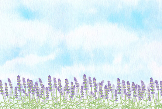 手描きの水彩画　青空とラベンダー畑の風景　横長背景
