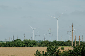 Windmills with rotor blades generating alternative form of energy on windfarm. Wind turbines...