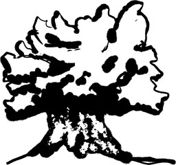 Olive tree. Hand drawn ink vector black illustration isolated on white background 