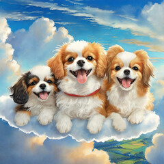 구름 위에서 행복하게 웃는 강아지 - obrazy, fototapety, plakaty