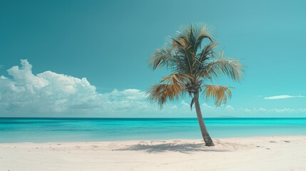 Fototapeta na wymiar A solitary palm tree on a pristine beach, framing the expanse of the turquoise ocean beyond.