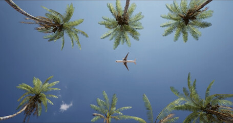 Long-haul passenger plane flying over a resort with palm trees on a sunny day. Bottom view. The concept of an exotic vacation.