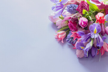 beautiful spring flowers on purple paper background