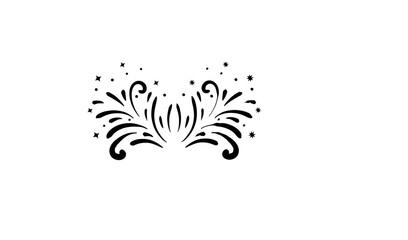 Fototapeta premium fireworks silhouette
