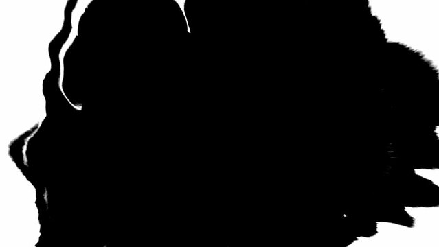 Turbulent painting blots spread amidst abstract black ink splatter on canvas.