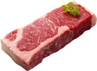 A large piece of meat with a lot of marbling