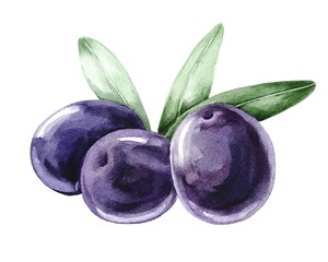 Black olives colourful food illustration 