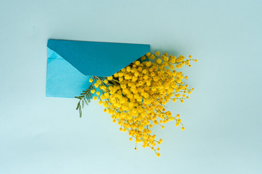 Overhead view of a bunch of yellow mimosa flowers in an envelope on a table