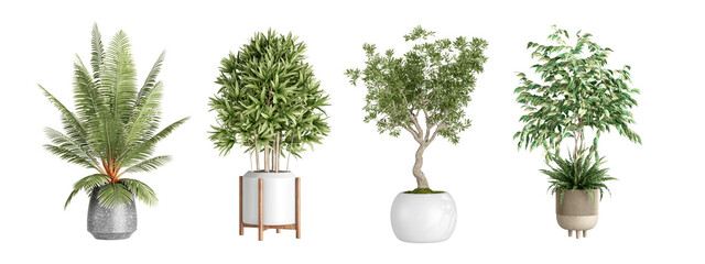 Plants in 3d rendering. Beautiful plant in 3d rendering isolated  - obrazy, fototapety, plakaty