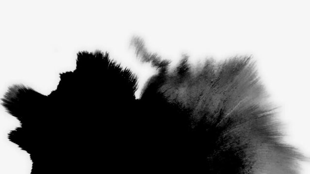 Abstract black ink splatter on canvas results in turbulent painting blots spreading.