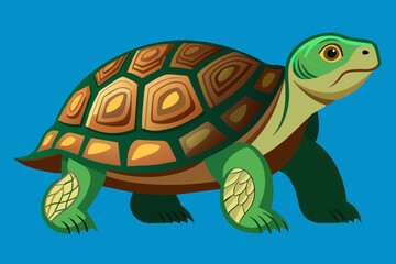 cartoon turtle vector illustration 