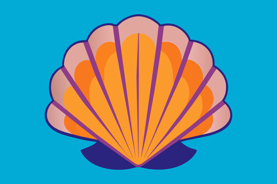 sea shell illustration
