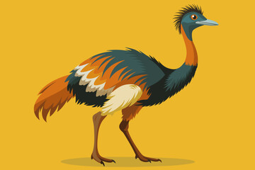 Ostrich vector illustration 