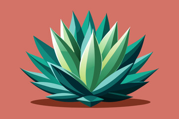 agave plant vector illustration 