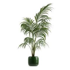 Obraz premium Potted plants isolated on white background
