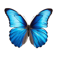 Beautiful blue butterfly isolated on transparent background