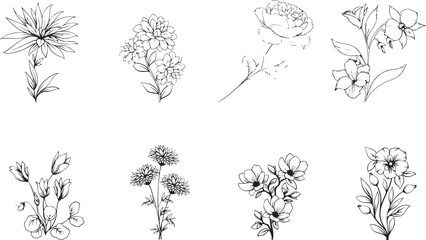 hand drawn flowers Vector de vegetación botánico-rústico de moda