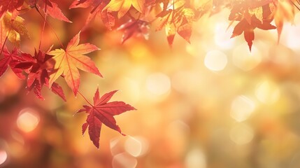 Naklejka na ściany i meble Web Banner Design for Autumn Season and End-of-Year Sale